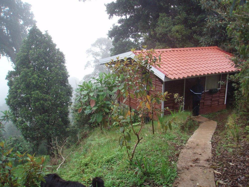 Paraiso Quetzal Lodge Tres de Junio Extérieur photo