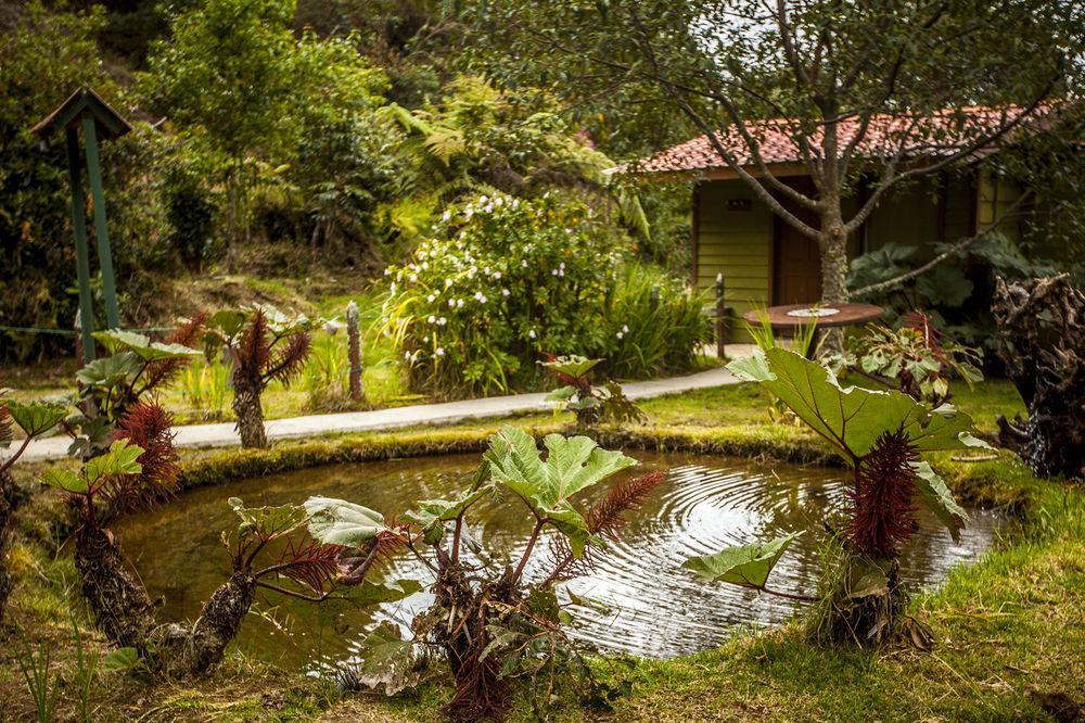 Paraiso Quetzal Lodge Tres de Junio Extérieur photo