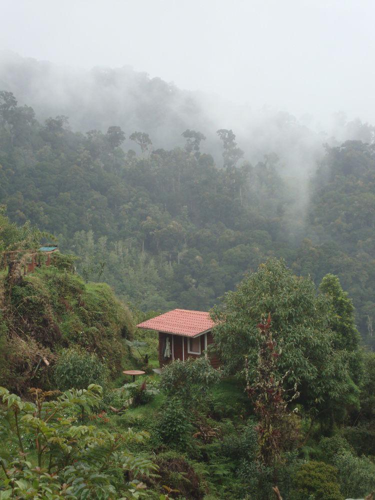 Paraiso Quetzal Lodge Tres de Junio Extérieur photo
