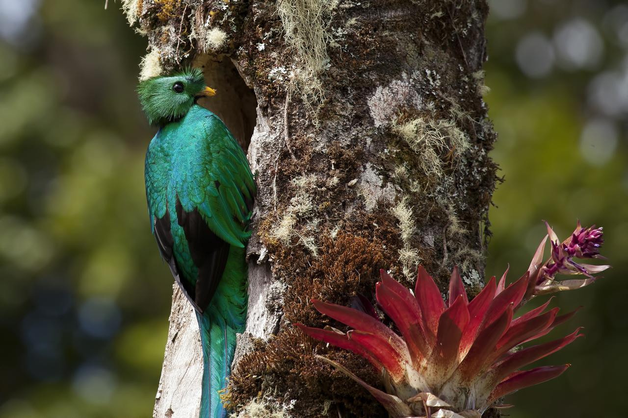 Paraiso Quetzal Lodge Tres de Junio Extérieur photo